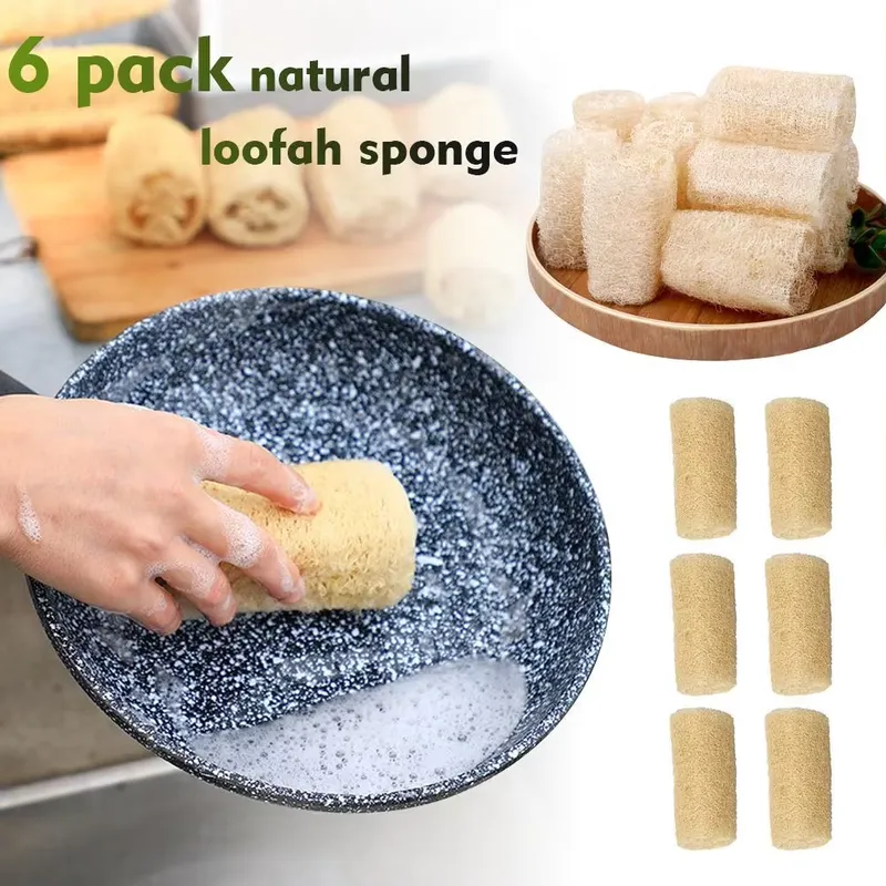 Nouvelle Brosse Éponge Naturel - Eco Sponge avis et prix